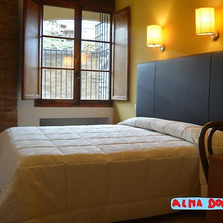 Hotel Alma Domus Sienne